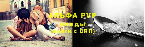 spice Алзамай