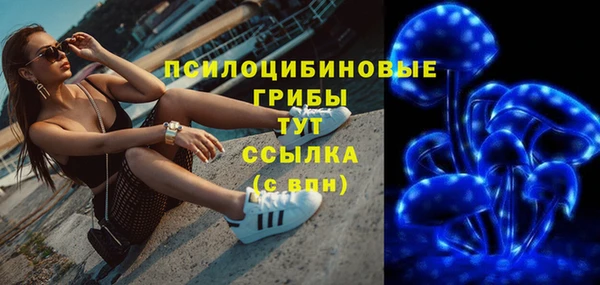 spice Алзамай