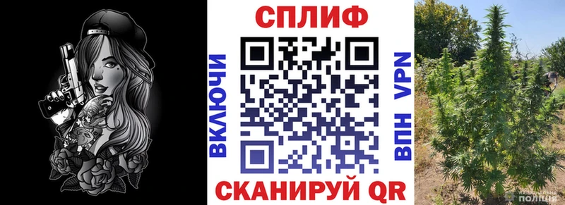 где купить   OMG ссылки  Шишки марихуана Bruce Banner  Билибино 
